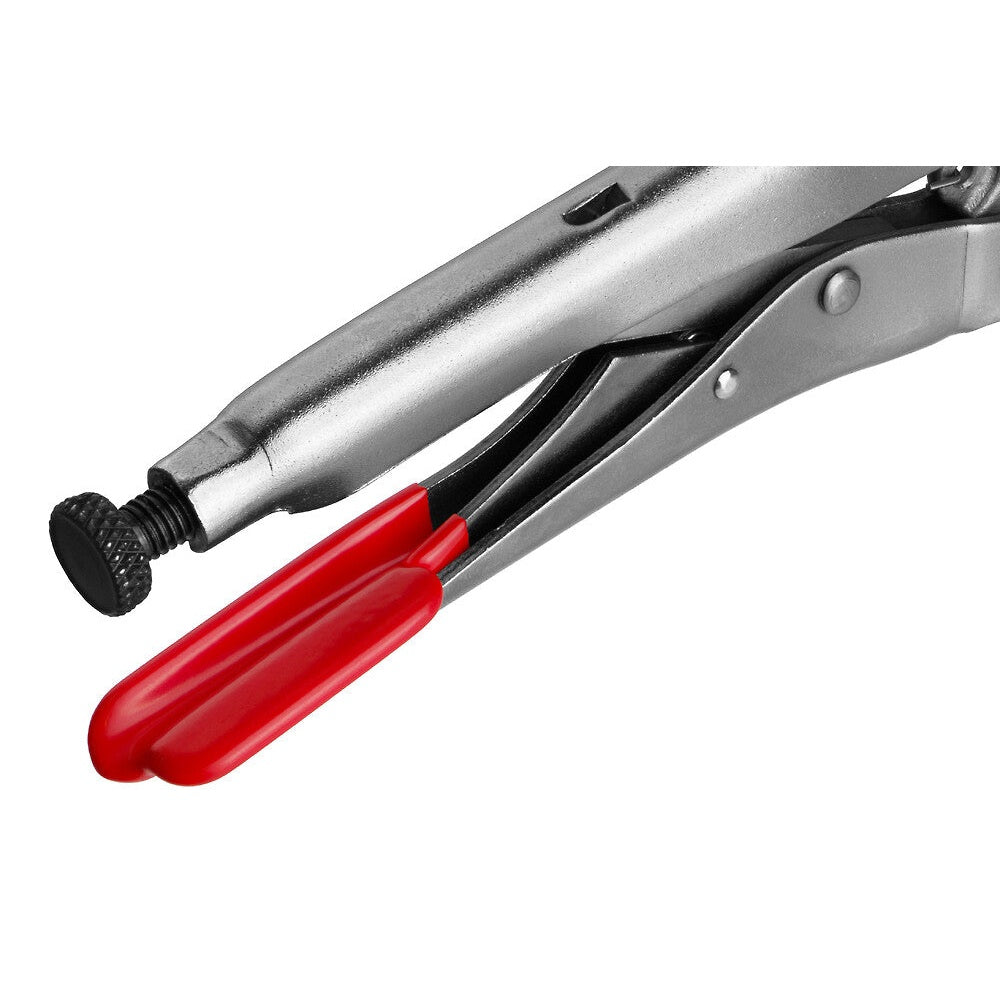 Lukkopihti pitkänokka, Magnum